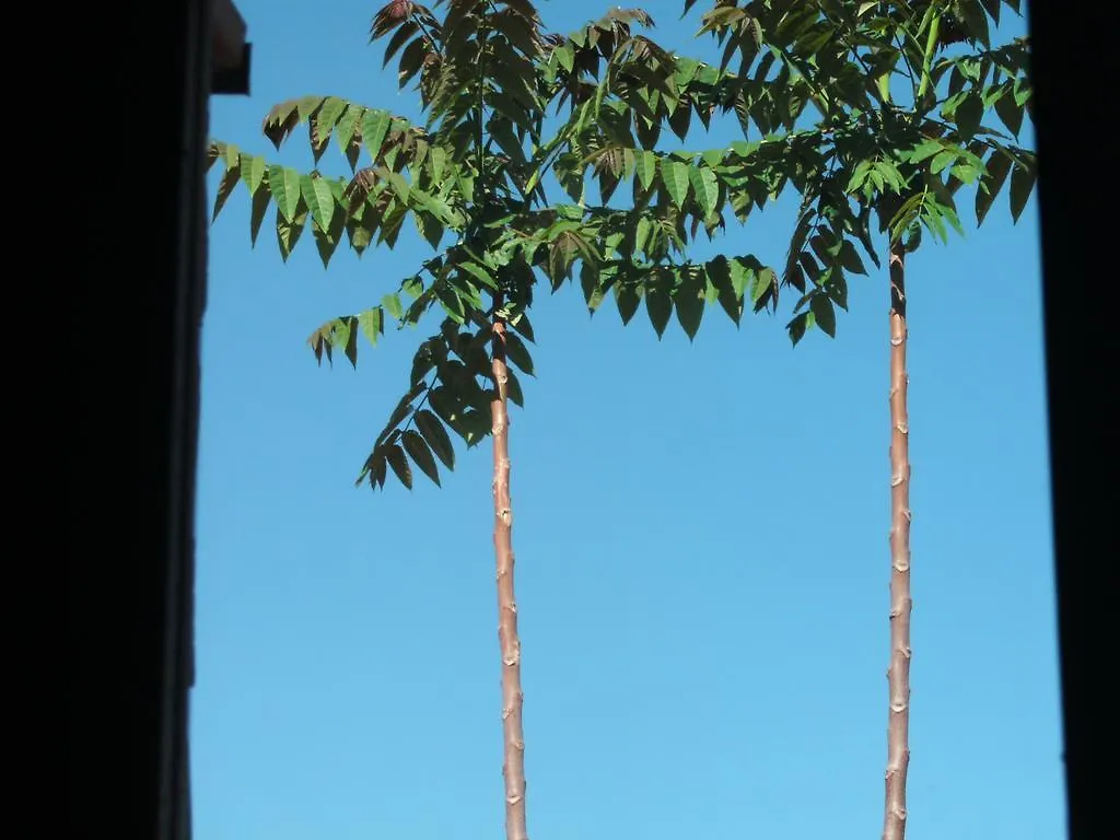 Hostel Ruca Potu Mendoza