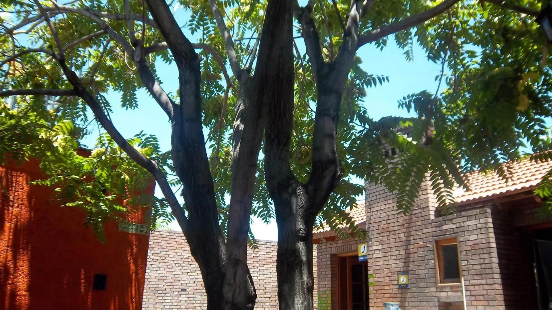 Hostel Ruca Potu Mendoza Argentina